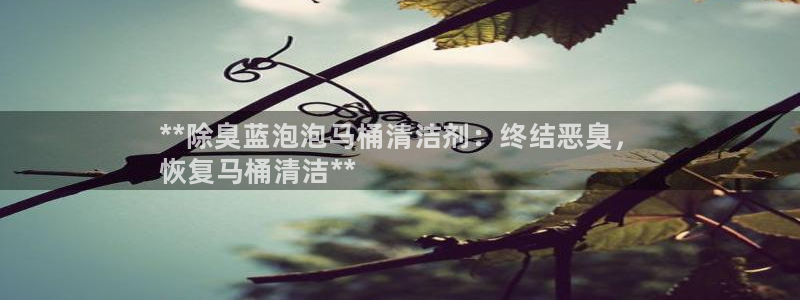 尊龙集团有限公司官网:**除臭蓝泡泡马桶清洁剂:终结恶臭,